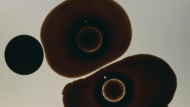 Video Reference: Automotive tire, Wood, Circle, Audio equipment, Auto part, Art, Metal, Automotive wheel system, Cylinder, Still life photography