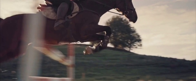 Video Reference: Horse, Plant, Working animal, Tree, Horse tack, English riding, Horse supplies, Equestrian sport, Saddle, Bridle