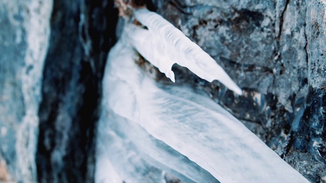Video Reference: Snow, Wood, Icicle, Melting, Freezing, Ice cap, Tree, Geological phenomenon, Formation, Winter
