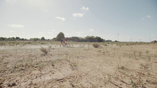 Video Reference: Sky, Cloud, Plant, Plant community, Tree, Land lot, Grass, Plain, Grassland, Landscape