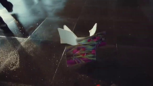 Video Reference: Vertebrate, Sky, Water, Creative arts, Tints and shades, Road surface, Art, Space, Darkness, Astronomical object