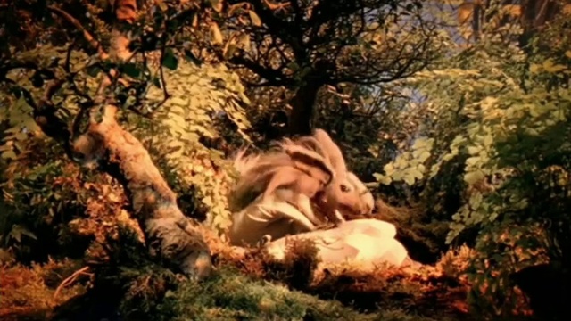 Video Reference: Plant, People in nature, Natural landscape, Branch, Wood, Trunk, Sunlight, Tree, Fawn, Deciduous