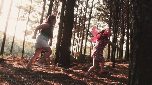 Video Reference: Plant, Shoe, Leg, People in nature, Tree, Branch, Natural environment, Wood, Natural landscape, Happy