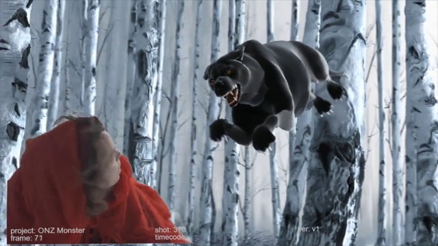 Video Reference: Dog breed, Dog, Carnivore, Textile, Snow, Freezing, Fawn, Snout, Tree, Winter