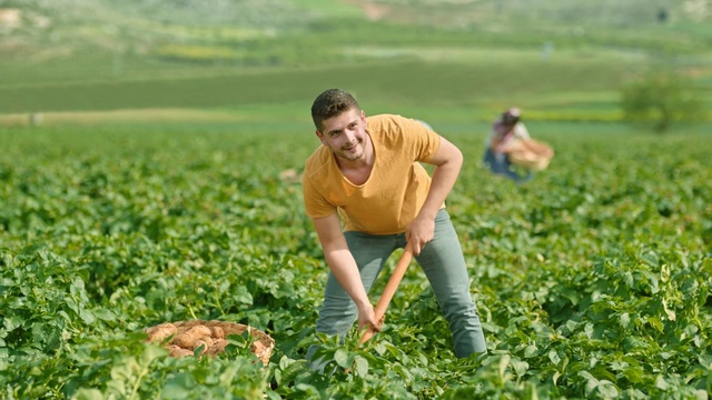 Video Reference: Plant, Vertebrate, People in nature, Smile, Mammal, Happy, Farmer, Agriculture, Grass, Groundcover