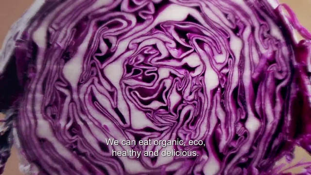 Video Reference: Plant, Flower, Purple, Petal, Food, Violet, Leaf vegetable, Magenta, Ingredient, Red cabbage