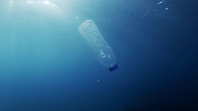 Video Reference: Water, Liquid, Azure, Underwater, Fluid, Marine biology, Recreation, Electric blue, Fish, Ocean