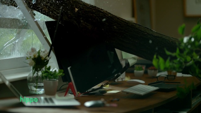 Video Reference: Plant, Table, Wood, Houseplant, Desk, Flowerpot, Office equipment, Terrestrial plant, Office supplies, Writing desk