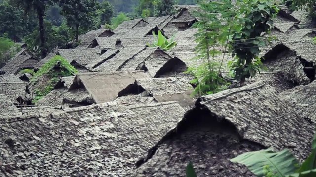 Video Reference: thatched roofs, traditional houses, village, hillside, forest, rural, architecture, roofs, greenery, nature, settlement, landscape