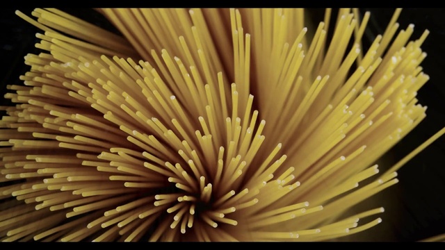 Video Reference: Plant, Fungus, Natural material, Terrestrial plant, Close-up, Flowering plant, Macro photography, Wood, Pattern, Pollen