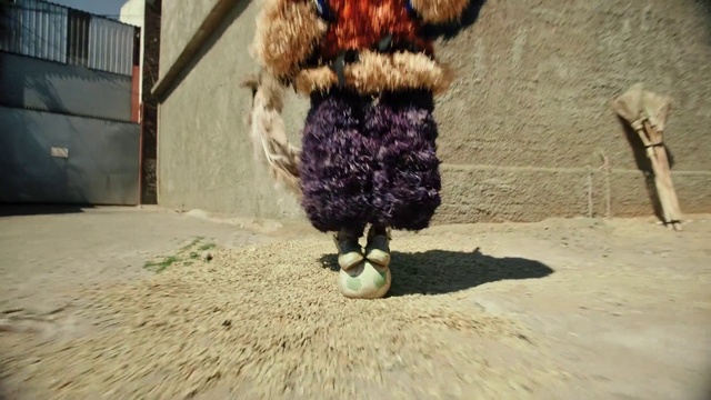 Video Reference: Bird, Mammal, Beak, Phasianidae, Fawn, Art, Feather, Wood, Tints and shades, Chicken