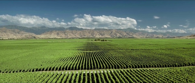 Video Reference: Cloud, Sky, Plant, Mountain, Natural landscape, Land lot, Grass, Agriculture, Plain, Rural area