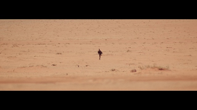 Video Reference: Ecoregion, Body of water, Insect, Atmospheric phenomenon, Landscape, Wood, Horizon, Tints and shades, Sand, Arthropod