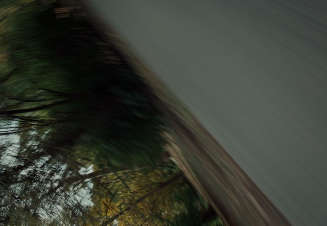 Video Reference: Water, Wood, Plant, Tints and shades, Twig, Trunk, Grass, Landscape, Sky, Tree