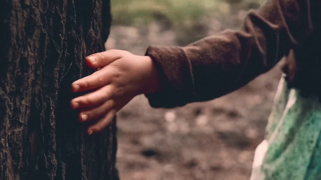 Video Reference: Hand, People in nature, Wood, Gesture, Grey, Finger, Grass, Trunk, Thumb, Nail
