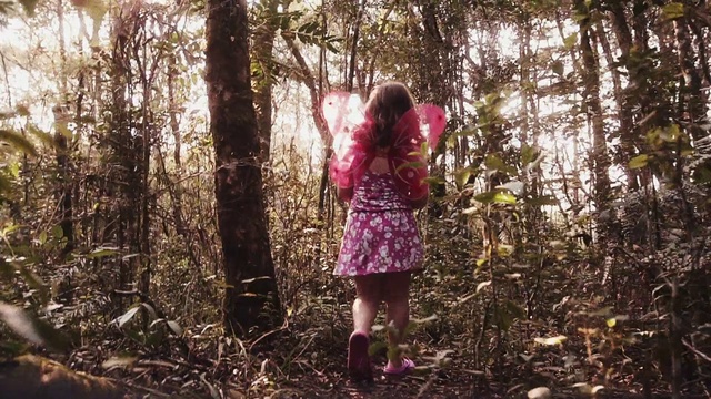 Video Reference: Plant, People in nature, Tree, Wood, Natural landscape, Trunk, Twig, Fawn, Happy, Deciduous