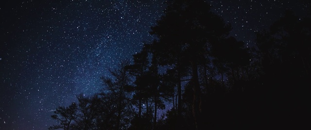 Video Reference: Atmosphere, Sky, Azure, Natural environment, World, Tree, Natural landscape, Astronomical object, Atmospheric phenomenon, Star