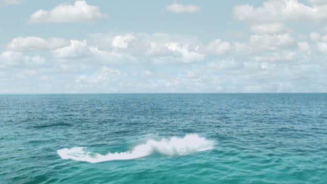 Video Reference: Water, Cloud, Sky, Liquid, Fluid, Horizon, Cumulus, Wind wave, Wind, Natural landscape