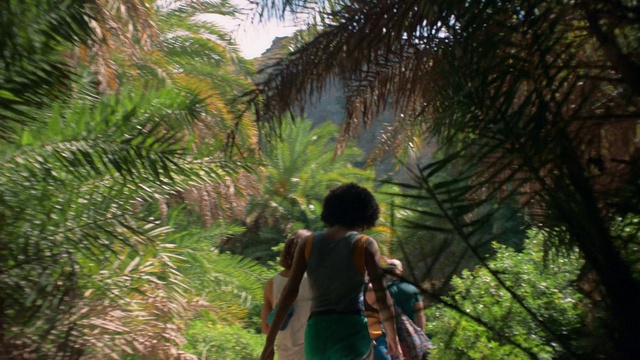 Video Reference: Plant, Vertebrate, Botany, Natural environment, People in nature, Terrestrial plant, Tree, Mammal, Arecales, Vegetation