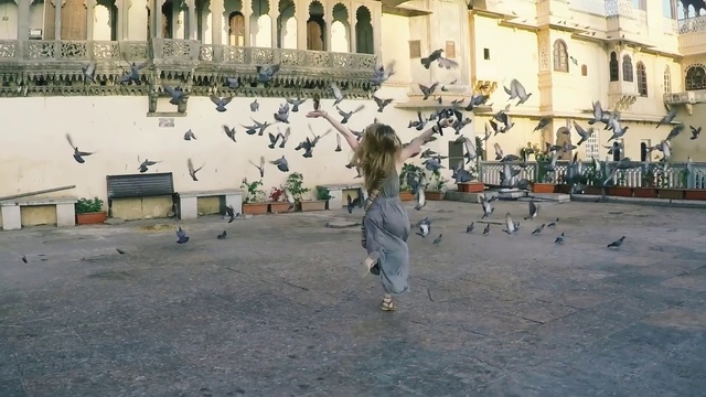 Video Reference: Bird, Building, Vertebrate, White, Window, Public space, City, Travel, Leisure, Facade