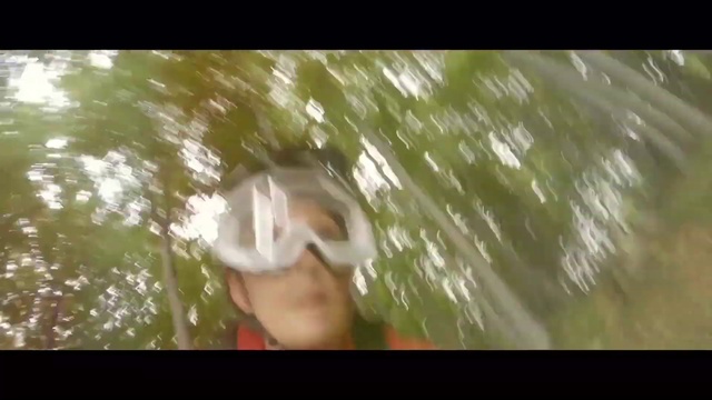 Video Reference: Window, Plant, People in nature, Flash photography, Happy, Wood, Gesture, Tree, Fawn, Grass