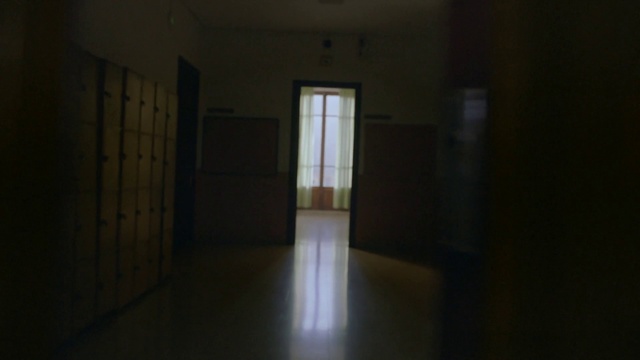 Video Reference: Fixture, Wood, Building, Floor, Hall, Flooring, Window, Hardwood, Tints and shades, Ceiling