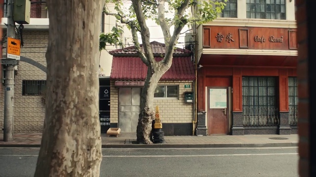 Video Reference: Window, Plant, Tree, Temple, Door, Road surface, Residential area, Public space, Sidewalk, Facade
