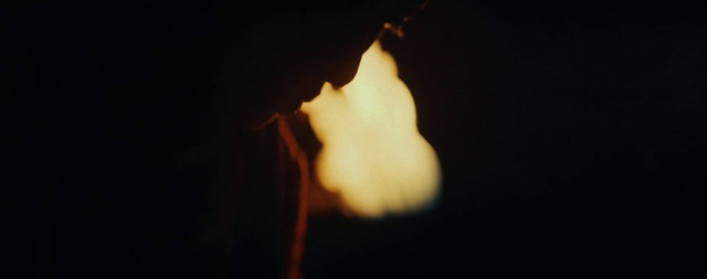 Video Reference: Hand, Sky, Gesture, Petal, Finger, Plant, Heat, Fire, Flame, Event