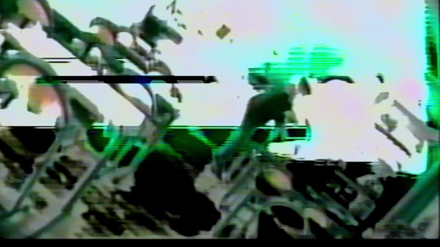 Video Reference: Organism, Font, Terrestrial plant, Technology, Rectangle, Event, Art, Plant, Display device, Grass