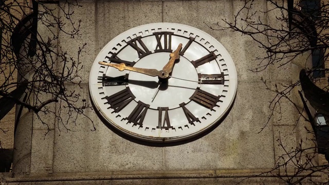 Video Reference: Brown, Wood, Clock, World, Twig, Font, Quartz clock, Tree, Measuring instrument, Tints and shades
