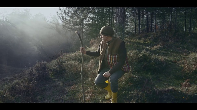 Video Reference: Plant, People in nature, Leaf, Flash photography, Branch, Tree, Standing, Sunlight, Natural landscape, Happy