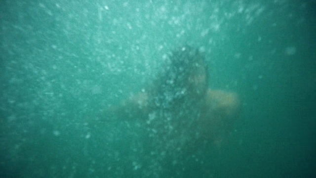 Video Reference: Water, Fluid, Underwater, Sky, Liquid, Aqua, Marine biology, Recreation, Electric blue, Fish