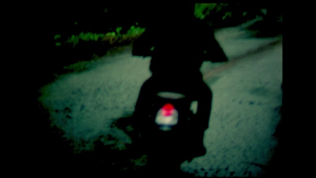 Video Reference: Plant, Carnivore, Tints and shades, Darkness, Personal protective equipment, Tree, Snow, Shadow, Winter, Automotive lighting