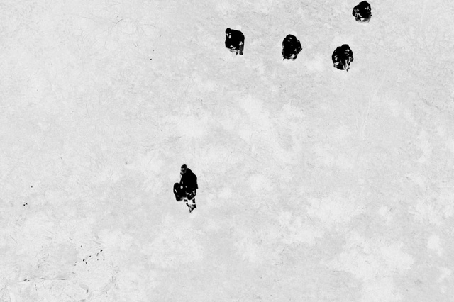 Video Reference: Gesture, Grey, Font, Slope, Grass, Rectangle, Asphalt, Pattern, Monochrome photography, Art