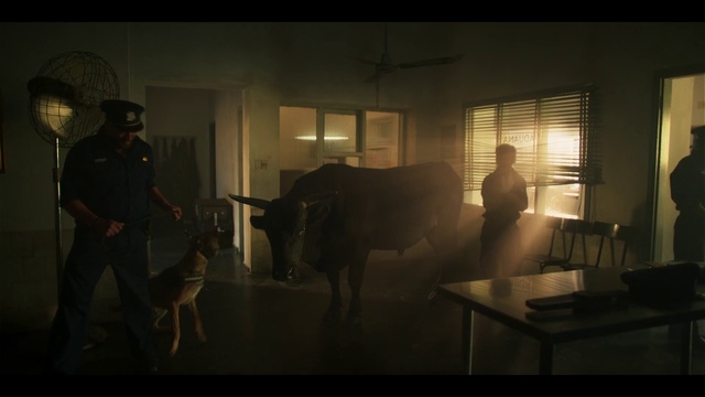 Video Reference: Window, Window blind, Flash photography, Working animal, Hat, Tints and shades, Table, Darkness, Door, Event