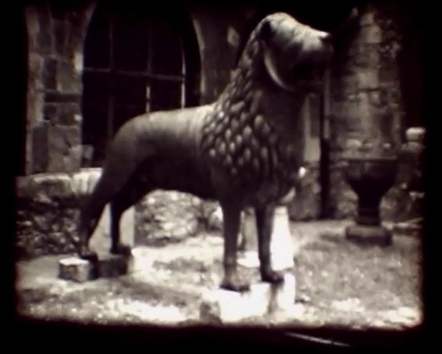 Video Reference: Organism, Window, Working animal, Elephants and Mammoths, Fawn, Terrestrial animal, Tints and shades, Snout, Sculpture, Art