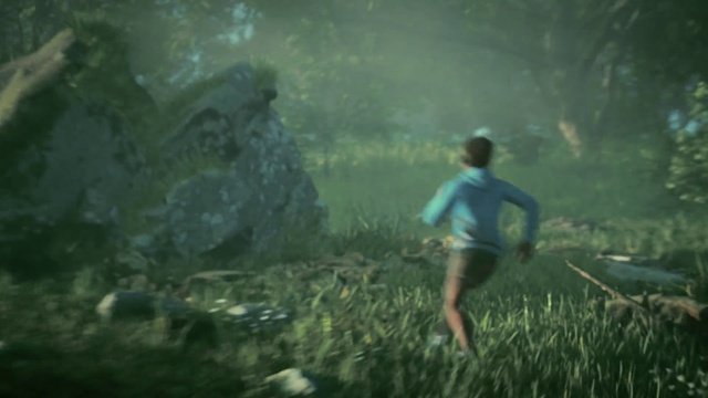 Video Reference: Atmosphere, Plant, People in nature, Natural landscape, Organism, Terrestrial plant, Atmospheric phenomenon, Underwater, Grass, Grassland