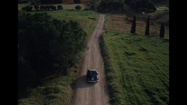 Video Reference: Plant, Car, Ecoregion, Vehicle, Infrastructure, Tree, Road surface, Land lot, Grass, Vegetation