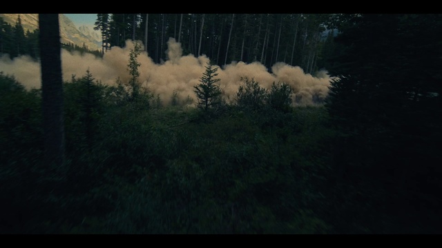 Video Reference: Plant, Natural landscape, Cloud, Tree, Twig, Grass, Rectangle, Tints and shades, Landscape, Wood