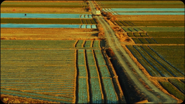 Video Reference: Wood, Line, Road surface, Parallel, Grass, Tints and shades, Pattern, Rectangle, Slope, Landscape