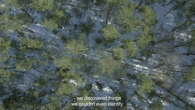 Video Reference: Water, Plant, Bedrock, Fluvial landforms of streams, Grass, Aquatic plant, Natural landscape, Terrestrial plant, Tree, Groundcover