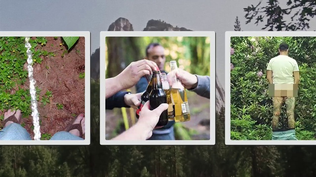 Video Reference: Plant, Green, People in nature, Sleeve, Gesture, Tree, Terrestrial plant, Adaptation, Grass, Cameras & optics