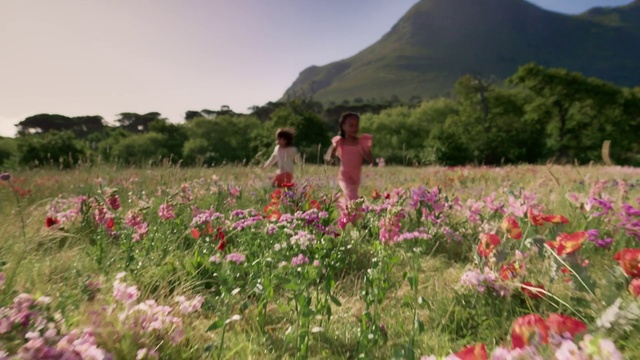 Video Reference: Flower, Plant, Sky, Plant community, Ecoregion, Natural environment, Natural landscape, People in nature, Tree, Petal