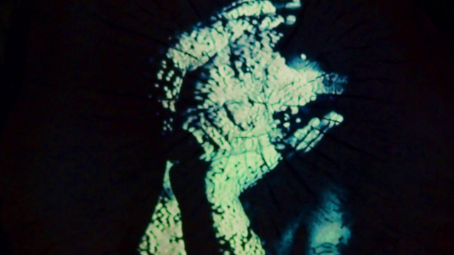 Video Reference: Plant, Tree, Tints and shades, Electric blue, Pattern, Darkness, Symmetry, Event, Circle, Wing