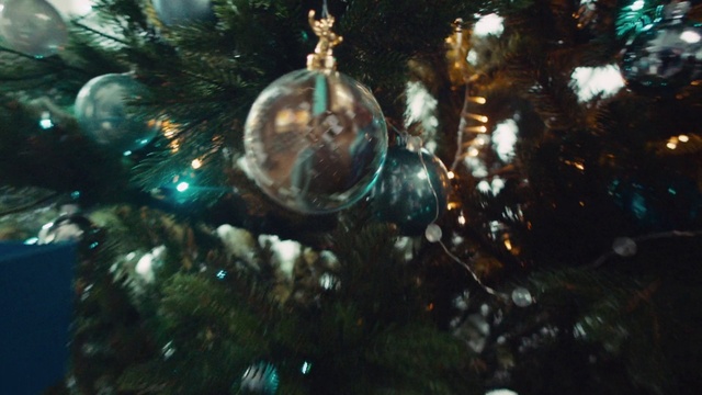 Video Reference: Christmas tree, Plant, Christmas ornament, Holiday ornament, Evergreen, Tree, Ornament, Terrestrial plant, Twig, Christmas decoration