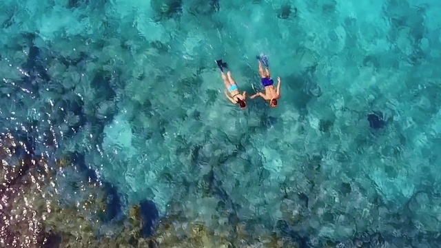 Video Reference: Water, Azure, Underwater, Fluid, Organism, Coastal and oceanic landforms, Aqua, Leisure, Recreation, Marine biology