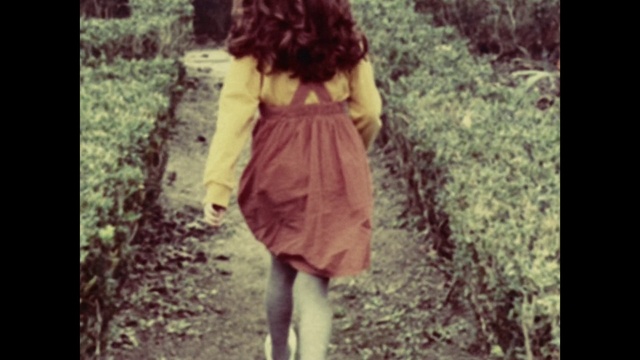 Video Reference: Plant, Leg, People in nature, Human body, Dress, Sleeve, Waist, Gesture, Thigh, Grass