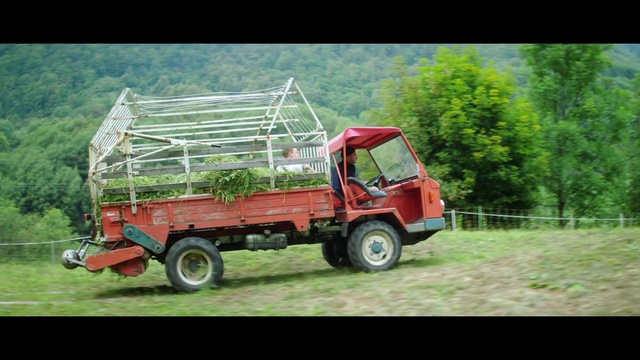 Video Reference: Wheel, Tire, Plant, Vehicle, Motor vehicle, Automotive tire, Tread, Tree, Car, Truck