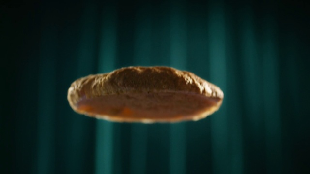 Video Reference: Liquid, Human body, Water, Marine biology, Wood, Fish, Invertebrate, Dish, Ingredient, Wildlife