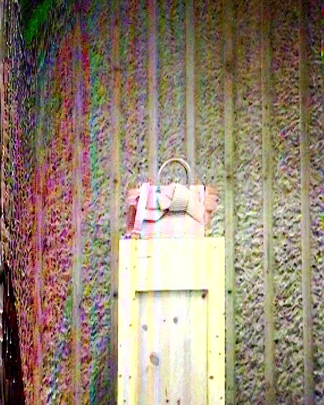 Video Reference: Purple, Wood, Door, Magenta, Tints and shades, Event, Rectangle, Grass, Art, Lock